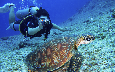 Mergulho em Búzios: Uma Experiência Imperdível e Surpreendente