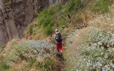 Trilhas em Búzios: Explore a Natureza em Uma Aventura Inesquecível